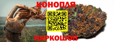 гашик Славгород
