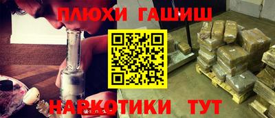 гашик Славгород