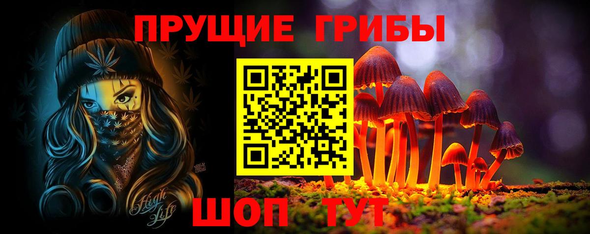 Псилоцибиновые грибы Cubensis  Галлюциногенные грибы прущие грибы  Вход с VPN  Махачкала 